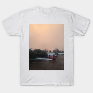 A Squall in March T-Shirt